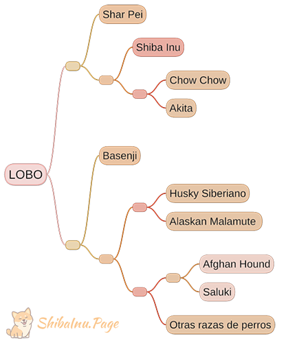 origen del Shiba Inu